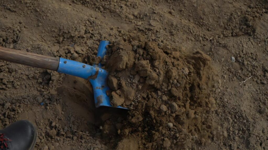 Blauer Spaten beim Ausheben von Boden für Gartenprojekte und Erdarbeiten.